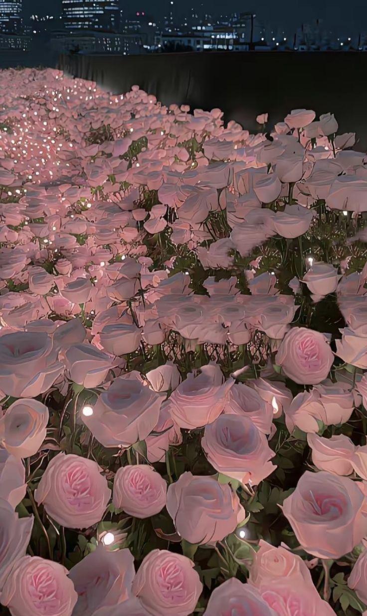 Sunset Embrace: Warm Autumnal Flower Hues